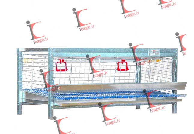 صادرات قفس مرغ خانگی