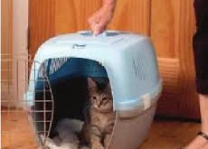 قفس گربه